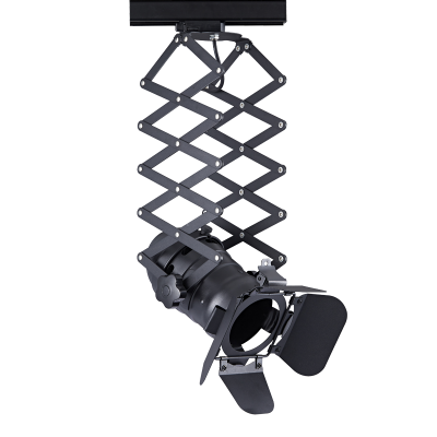 ^TRACK LIGHT No243 BLACK 4WIRE PAR30 E27  -243TLB4W